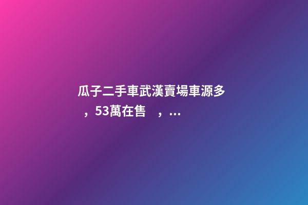 瓜子二手車武漢賣場車源多，5.3萬在售，僅奧迪品牌就有3000多輛